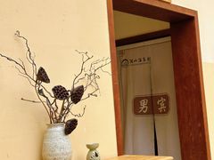 -腾冲洞山温泉村