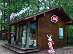 -黄海国家森林公园