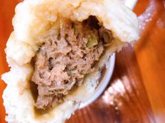 猪肉大葱-老陶包子铺(南大西南村店)