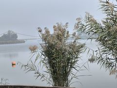 -西青郊野公园