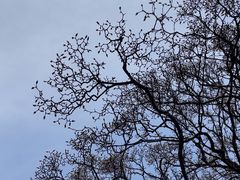 -报恩寺(平武县)