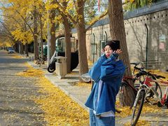-三里屯东五街银杏大道