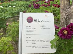 -太阳宫公园