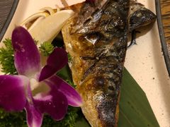 -酱子居酒屋(南洋维也纳花园店)