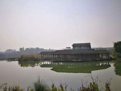 -白鹭湾湿地公园