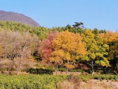 -塔川景区