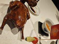 -侨美食家·40年地道粤菜(珠江新城店)
