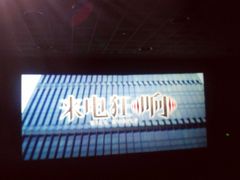 -AMG海上明珠影城(上海环球港RealDCinema店)