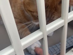 -情忆草原涮肉馆