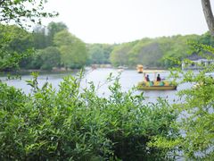 -上海共青森林公园
