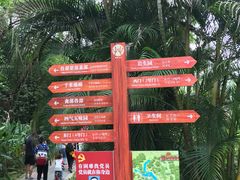 -广西壮族自治区药用植物园