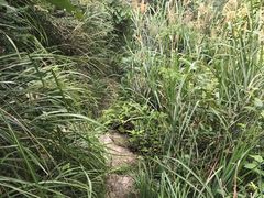 -公盂村