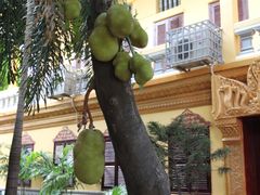 -柬埔寨国家博物馆