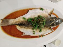 清蒸钱塘江鲻鱼-西湖春天•老字号杭州菜(百汇店)