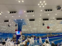 -湘江欢乐城欢乐雪域