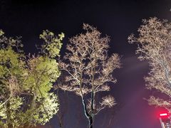 -映月湖中央公园