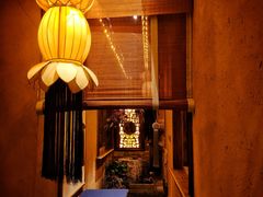 -叶叶菩提(旗舰店)