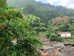 -杨家堂村