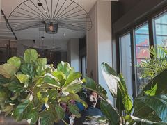 -The Rug Cafe(王府中环店)