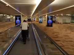 -英迪拉·甘地国际机场