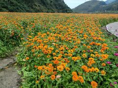 -零陵古城
