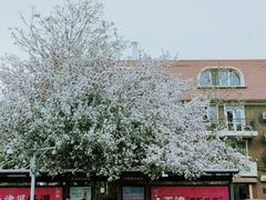 -天津五大道文化旅游区