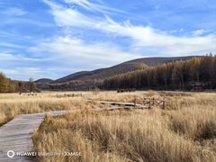 -塞罕坝国家级自然保护区