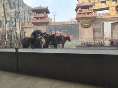 -合肥融创乐园