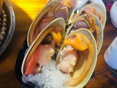 天鹅贝-捞围鲜·港式打边炉(海阳路店)