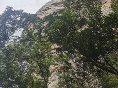 -雁荡山风景名胜区