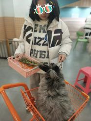 -Moni星球萌宠·小马宝莉·灵蛇·高端高阶全萌宠互动体验俱乐部(红豆国际广场店)