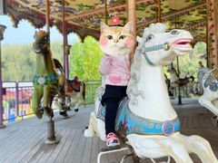 -朝阳公园游乐园