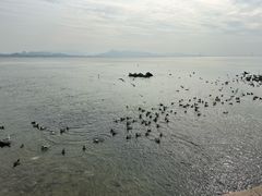 -深圳湾公园(南山区)