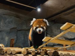 -Zoolung Zoolung动物主题公园(海信广场店)