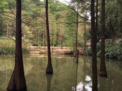 -云溪植物园