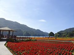 -广州市石门国家森林公园
