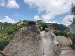 -大岭沟猕猴桃谷风景区