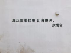 -海岛日记(养马岛店)