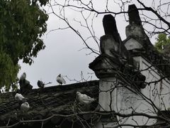 -杏花村文化旅游区