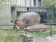 -成都动物园