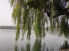 -苏堤停车场