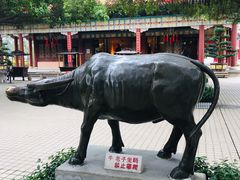 -广东圆玄道观