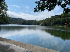 -深圳仙湖植物园