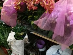-双季花艺园艺市场(浦东店)