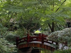 -中国茶叶博物馆(双峰馆区)
