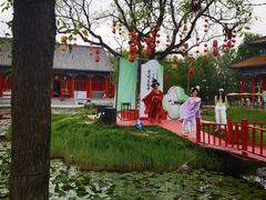-曹州牡丹园