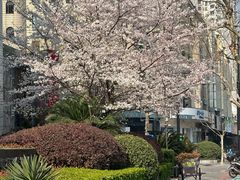 -上海虹桥当代艺术馆
