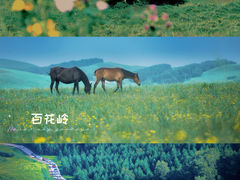 -百里天路