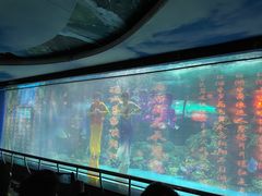 -大明湖海底世界