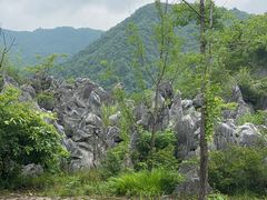 -千岛湖石林